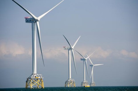 Khám phá “đại dương tua-bin gió” Bạc Liêu