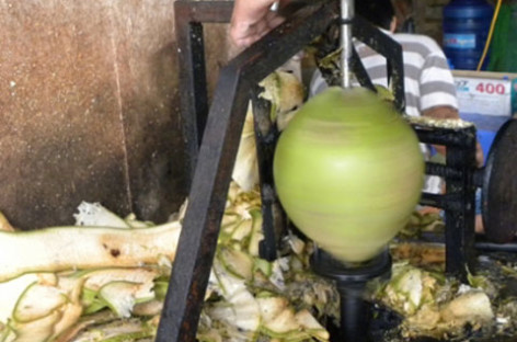 Chàng miệt vườn chế máy ‘siêu’ gọt dừa