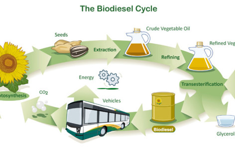 Sản lượng dầu Diesel sinh học toàn cầu sẽ tăng lên 24,7 triệu tấn