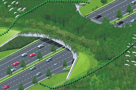 Singapore xây cầu sinh thái đầu tiên ở Đông Nam Á