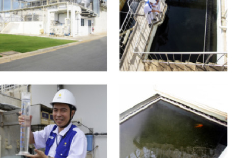 Hệ thống xử lý nước thải trị giá 3 triệu USD ở Long An