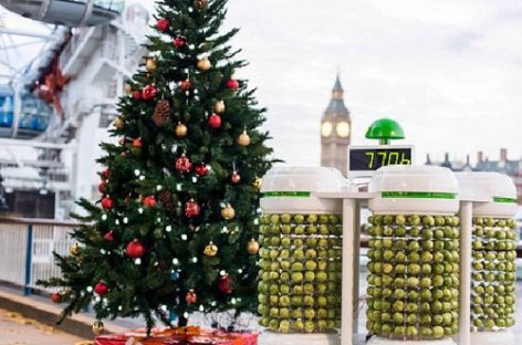 Năng lượng sinh học thắp sáng cây Noel