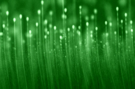 Bề mặt vật liệu mọc lông có nhiều ứng dụng