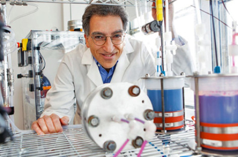 Pin sạc có nguồn gốc từ thực vật