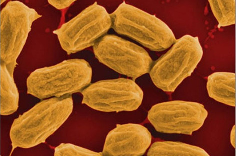 Độ ẩm có thể trở thành nguồn năng lượng mới