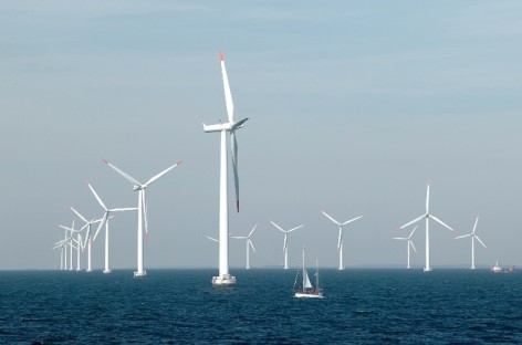 Phát triển năng lượng tái tạo: cần sự hỗ trợ từ Chính phủ