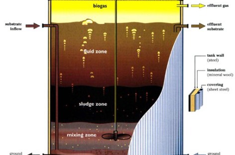 Xử lý nước thải bằng công nghệ sinh học (phần 2)