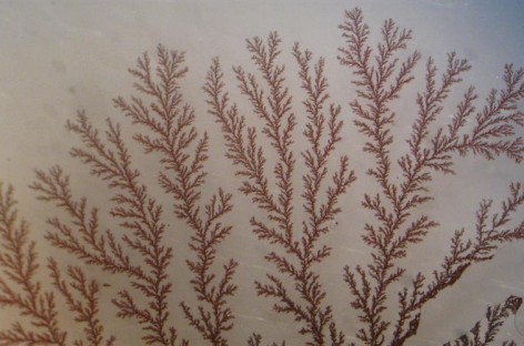 Chất điện phân mới giúp hạn chế đoản mạch pin Li-ion