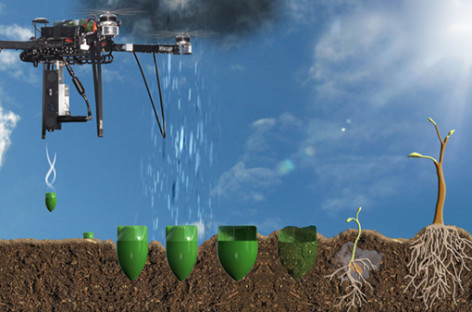 Trồng cây xanh bằng máy bay không người lái
