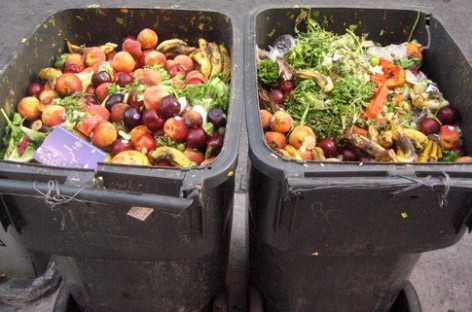 Sản xuất đèn LED từ chất thải thực phẩm