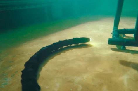 Robot rắn sửa chữa thiết bị môi trường dưới đáy biển