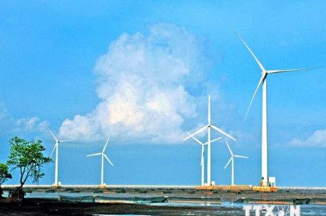 Khởi công giai đoạn 1 nhà máy điện gió tại Ninh Thuận