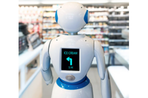 Robot dịch vụ khách hàng – Customer service Robots