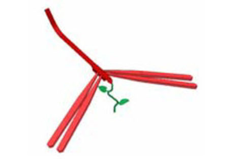 [Mô phỏng cơ cấu cơ khí] Chuồn chuồn, mô phỏng trong Inventor