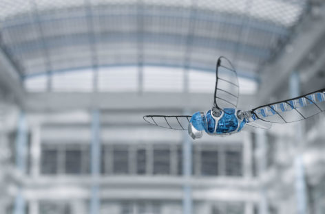 Robot chuồn chuồn BionicOpter đến từ Festo
