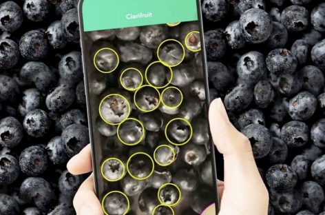 [Video] Ứng dụng Clarifruit cho biết chất lượng trái cây và rau củ chỉ từ một bức ảnh