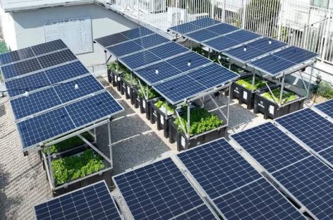 Mô-đun năng lượng mặt trời tích hợp kỹ thuật nông điện tạo nên khu vườn sản xuất năng lượng trên mái nhà