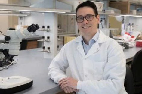 Tăng cường tính ổn định của vật liệu điện tử sinh học dùng cho máy tính