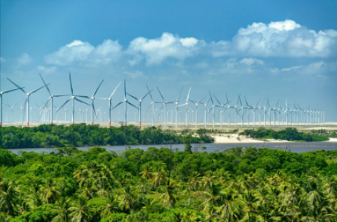 Cường quốc xanh Brazil: năng lượng, công nghiệp và đổi mới sáng tạo