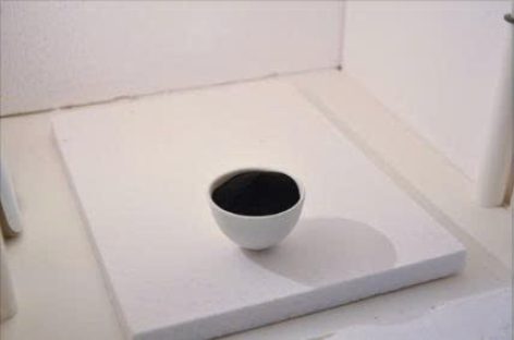 Việc phát triển pin natri-ion từ lignin có thể là hướng đi đột phá