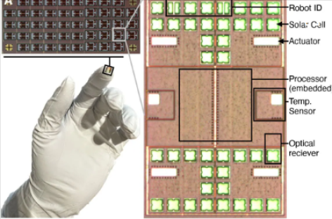 Thách thức lớn, giải pháp nhỏ: bước đột phá trong lĩnh vực robot tự động siêu nhỏ