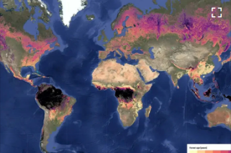 [Video] Khẳng định vai trò trung tâm của rừng đối với khí hậu trái đất