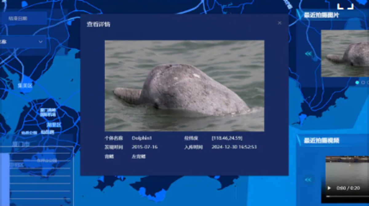 [Video] Trí tuệ nhân tạo đồng hành cùng sứ mệnh bảo tồn loài cá heo