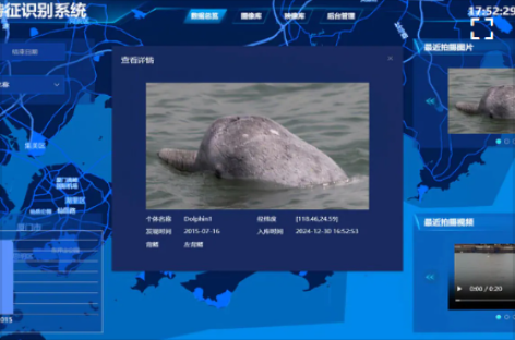 [Video] Trí tuệ nhân tạo đồng hành cùng sứ mệnh bảo tồn loài cá heo