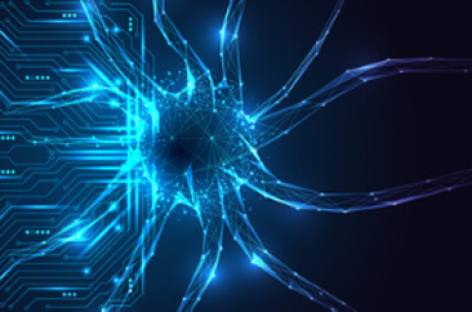 Công ty Cortical Labs giới thiệu trung tâm dữ liệu dựa trên tính toán sinh học đầu tiên trên thế giới