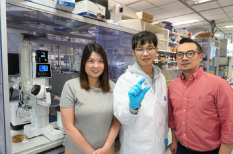 Lớp phủ velcro phân tử giúp tăng cường hiệu suất của pin năng lượng mặt trời