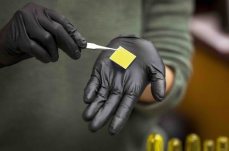 Vật liệu bán dẫn từ nấm: bước tiến cho thiết bị điện tử linh hoạt