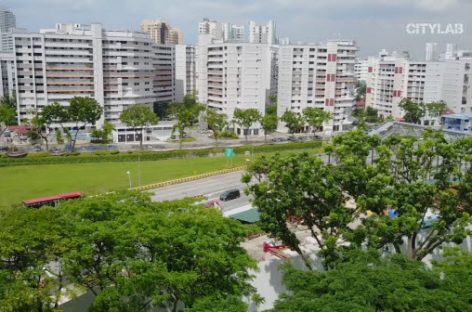 Cách Singapore ứng dụng khoa học để làm mát cả quốc gia