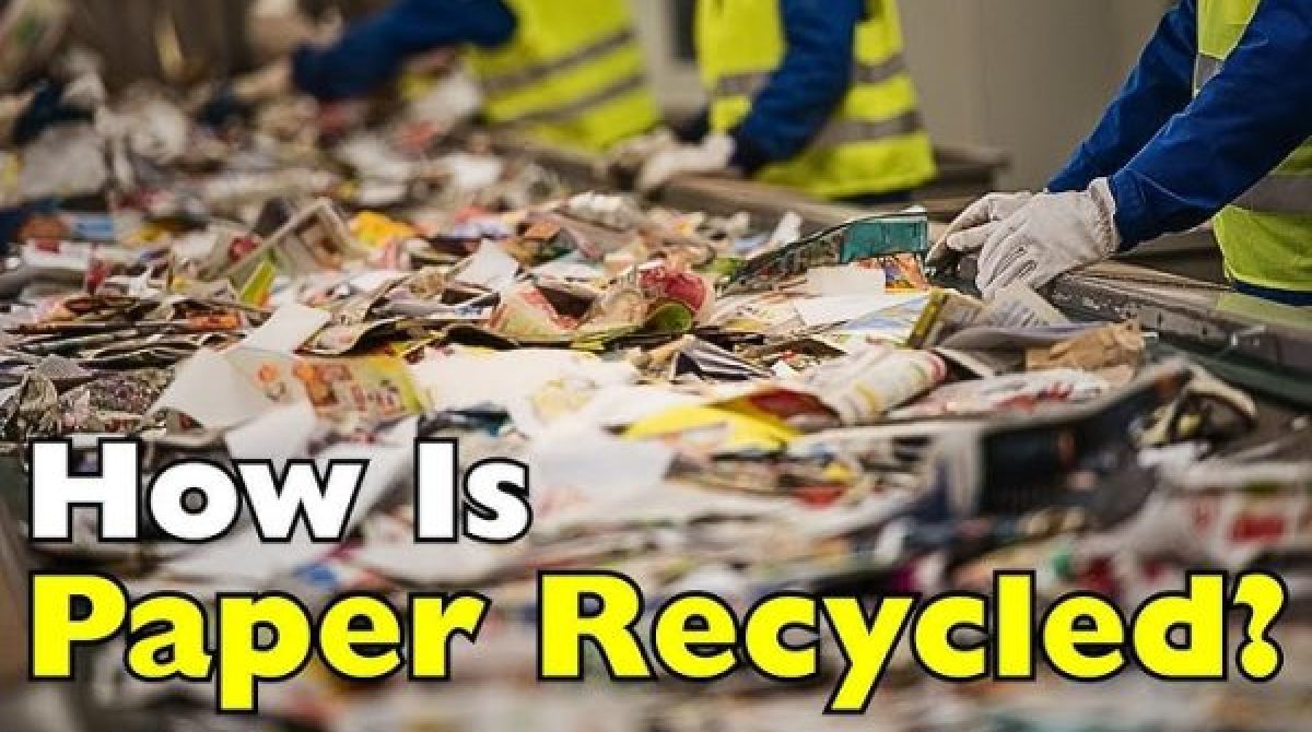 Tái chế giấy: Hành trình từ rác thải đến vật liệu tái chế bền vững