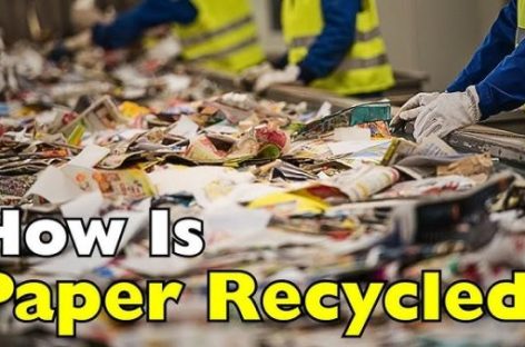 Tái chế giấy: Hành trình từ rác thải đến vật liệu tái chế bền vững